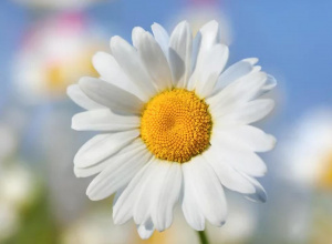 ŚWIATOWY DZIEŃ WALKI Z DEPRESJĄ