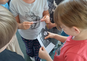 Zdjęcie 13 na 14