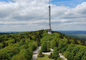 Zdjęcie 10 na 41