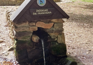Zdjęcie 37 na 41