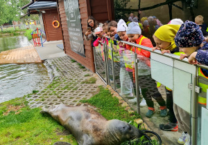 Zdjęcie 37 na 66