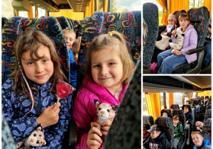 Zdjęcie 66 na 66