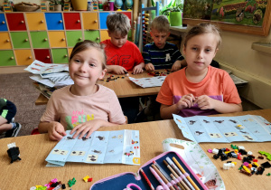 Zdjęcie 6 na 22